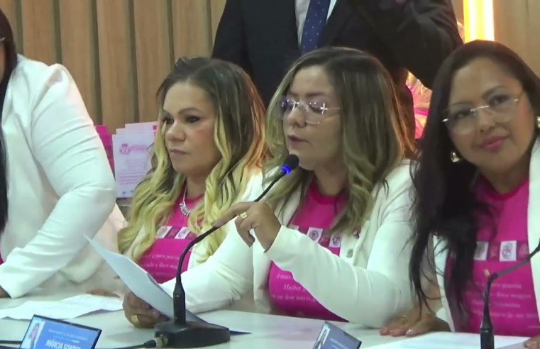 Câmara municipal de São Gonçalo promove audiência pública em alusão ao Agosto Lilás