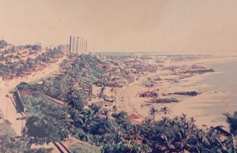 Entre o amor e tiros: cartas de Mãe Luiza*